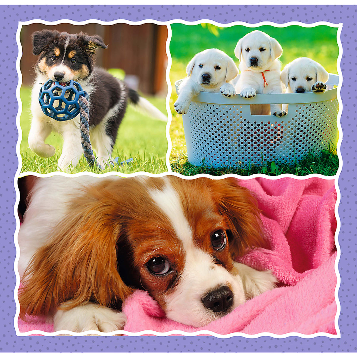 Preschool 3 In 1 Puzzle - Lovely Dogs