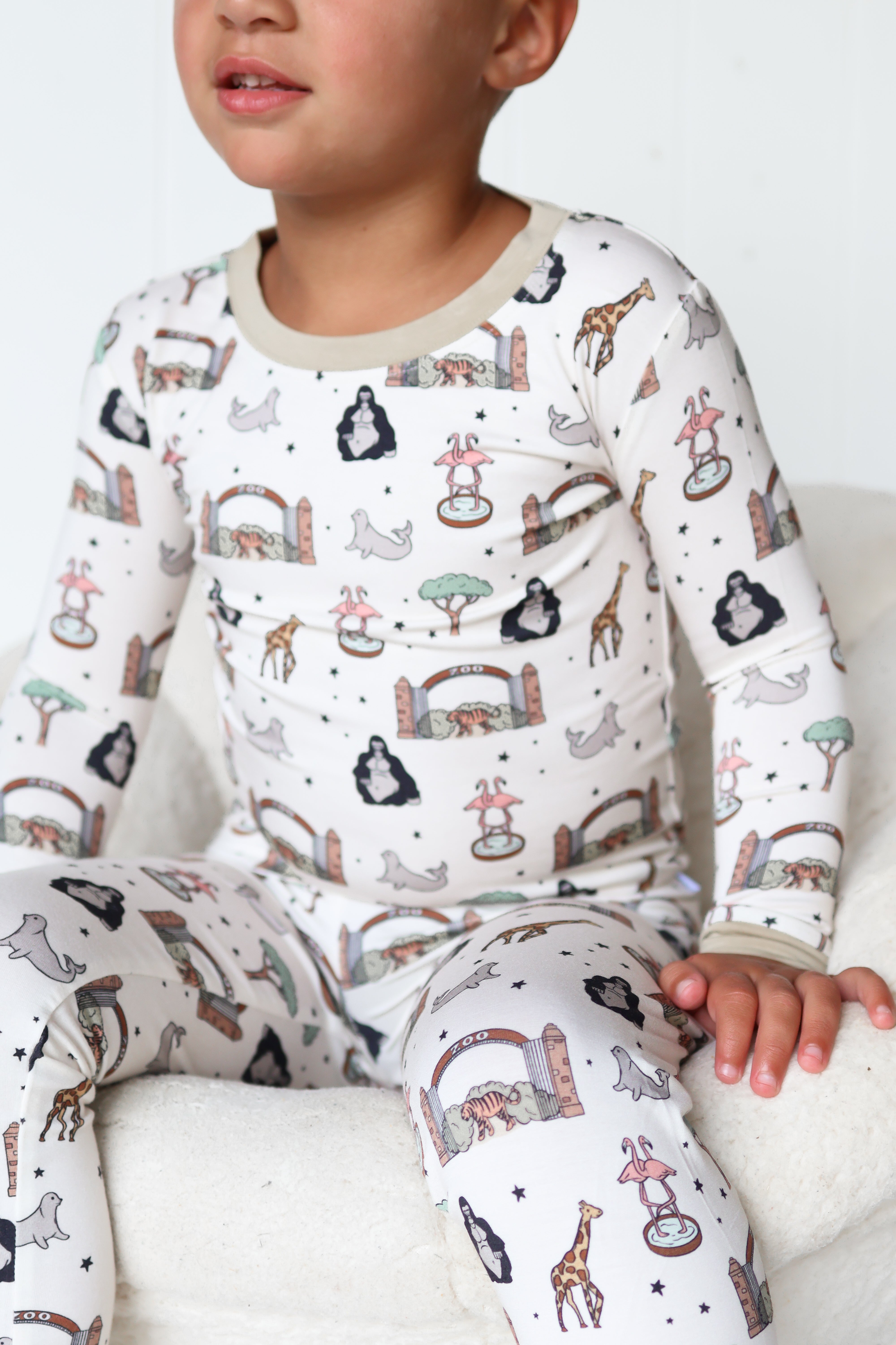 Exclusive Zoo Adventures Dream Set