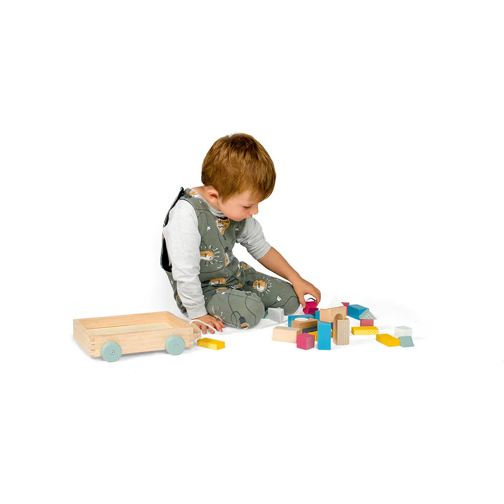 Fsc® Certified Brick Cart By Bigjigs Toys Us