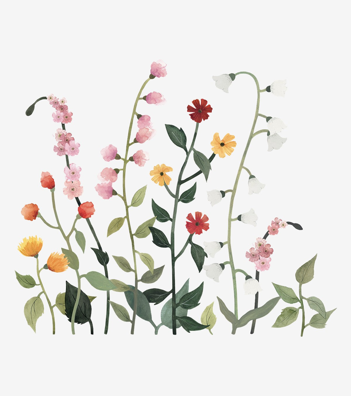 Queyran - Grands Wall Decals - Wild Flowers