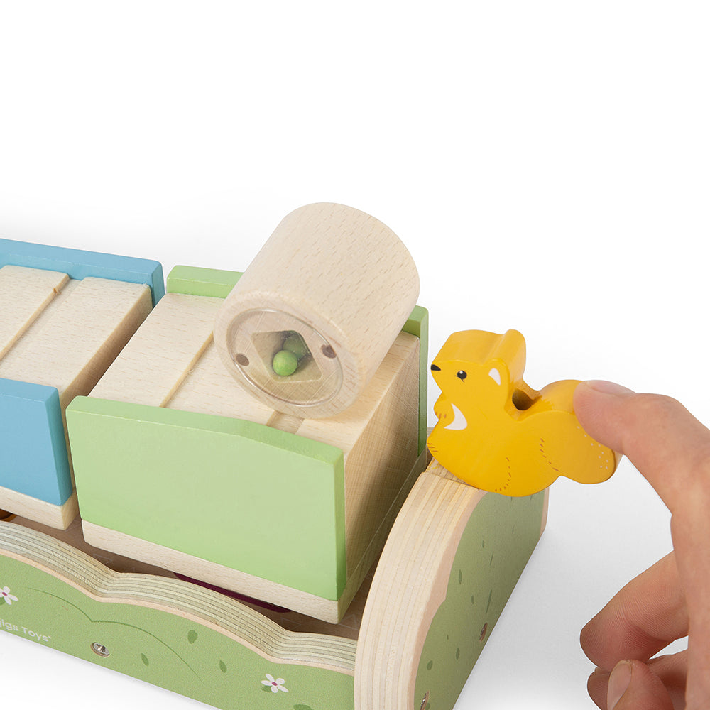 Squirrel Ramp Sorter By Bigjigs Toys Us