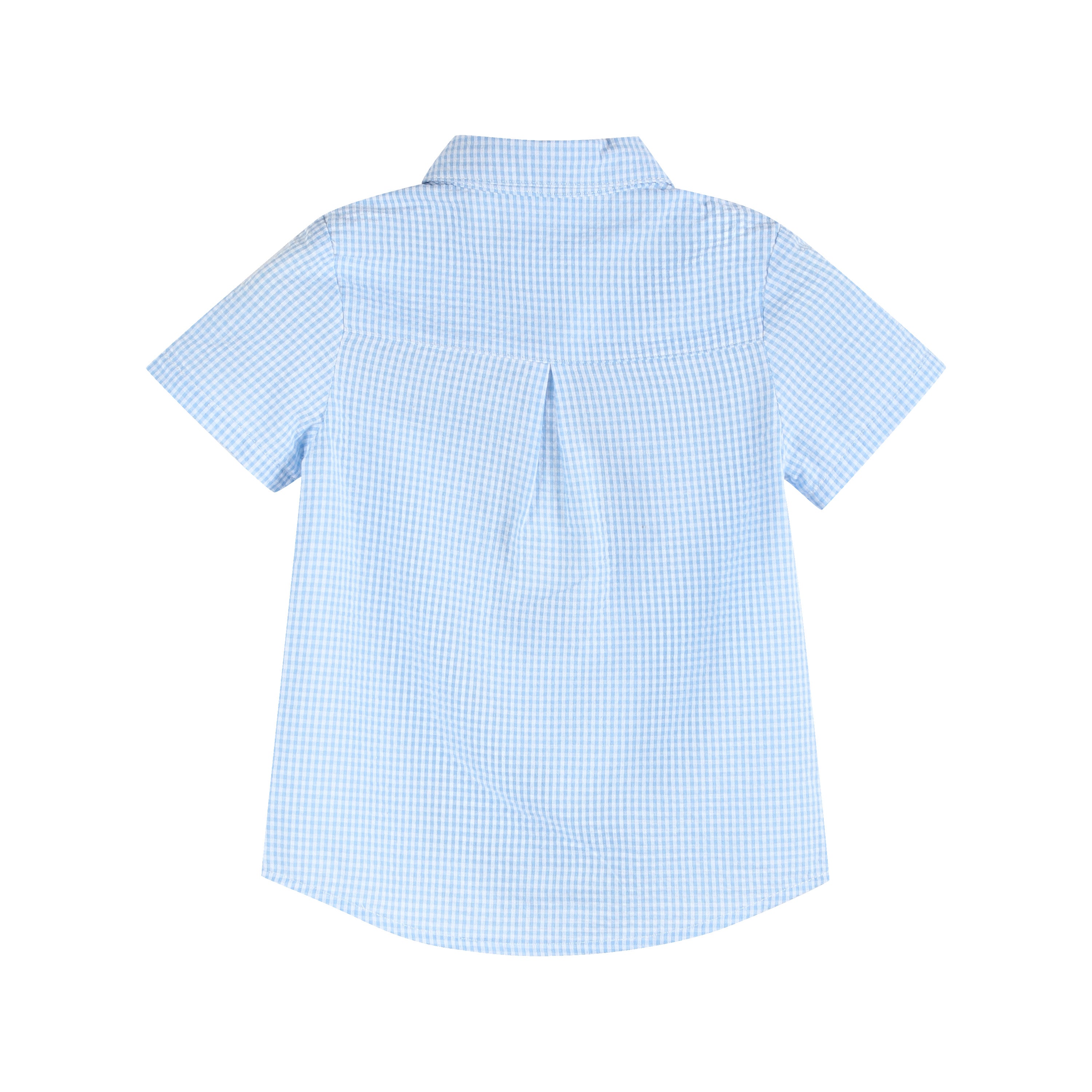 Blue Gingham Easter Bunny Dress Shirt