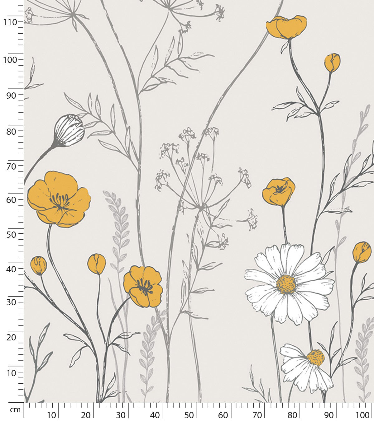 Chamomile - Panoramic Wallpaper - Chamomile Flowers