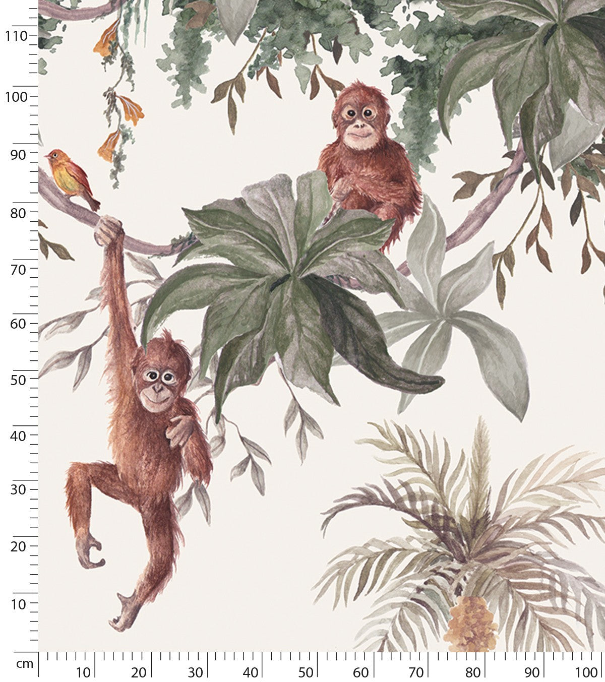 Utan - Panoramic Wallpaper - Monkeys