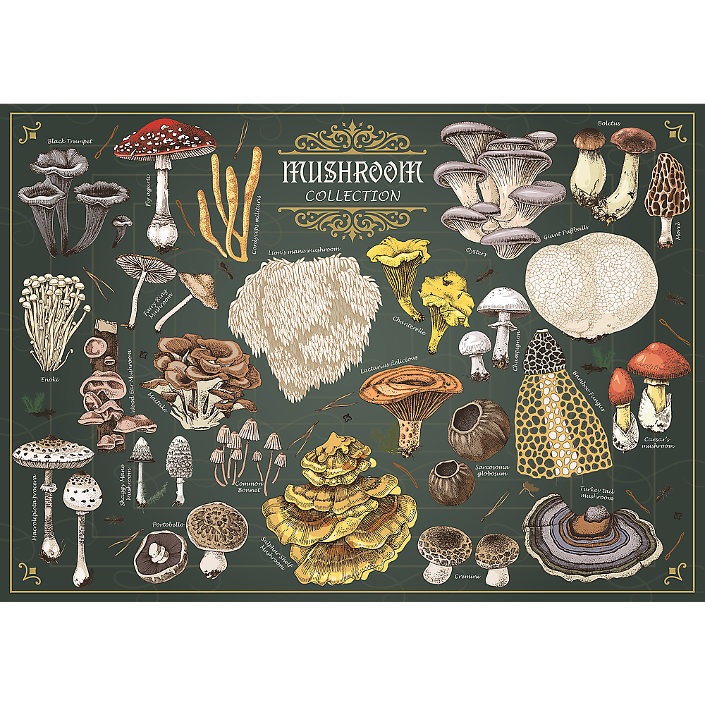 Premium Plus Finders Keepers Mushrooms 500 Piece Puzzle