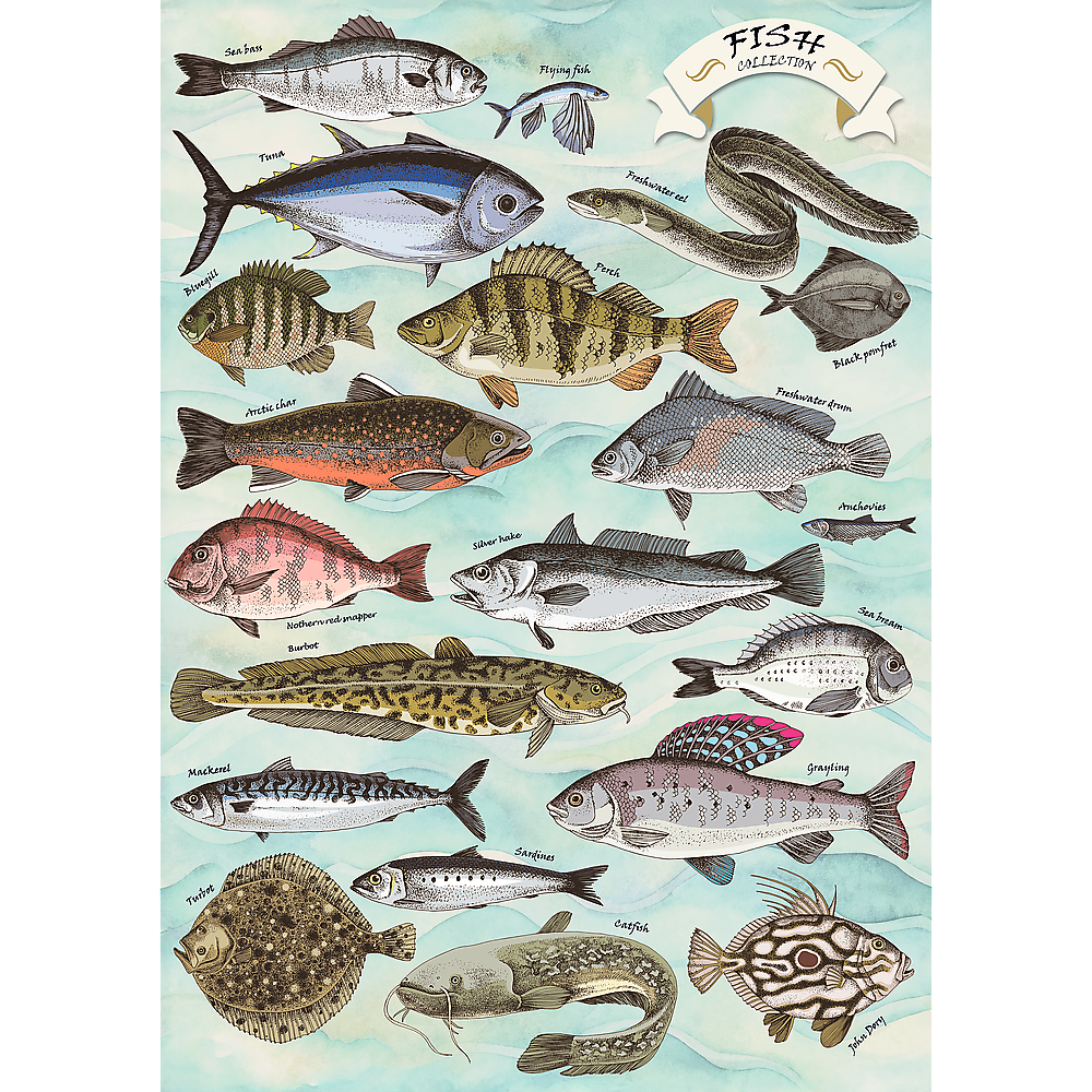 Premium Plus Finders Keepers Fish 500 Piece Puzzle