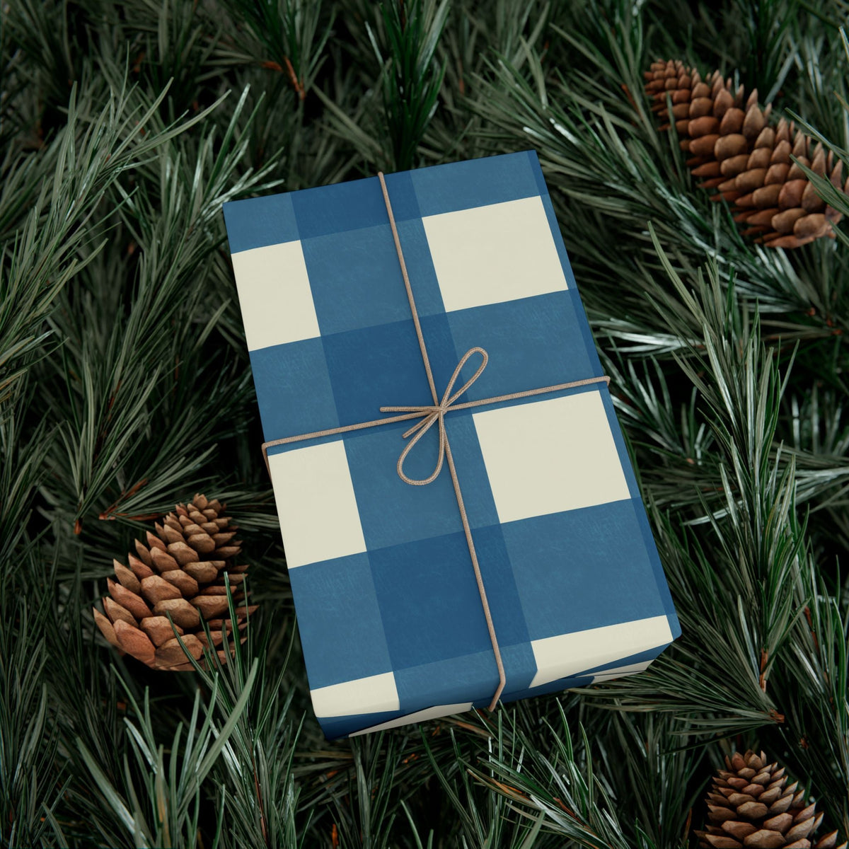 Classic Blue Gingham Gift Wrap