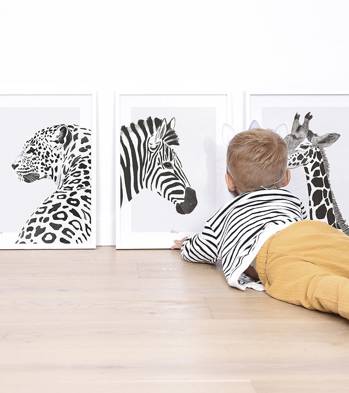 Serengeti - Children's Poster - The Zebra