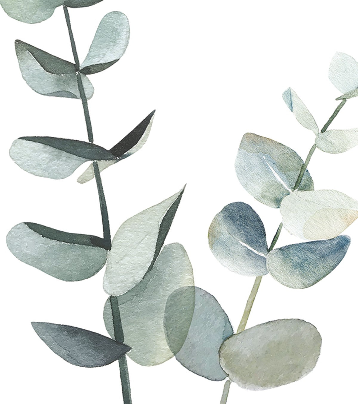 Greenery - Children's Poster - Eucalyptus Stems