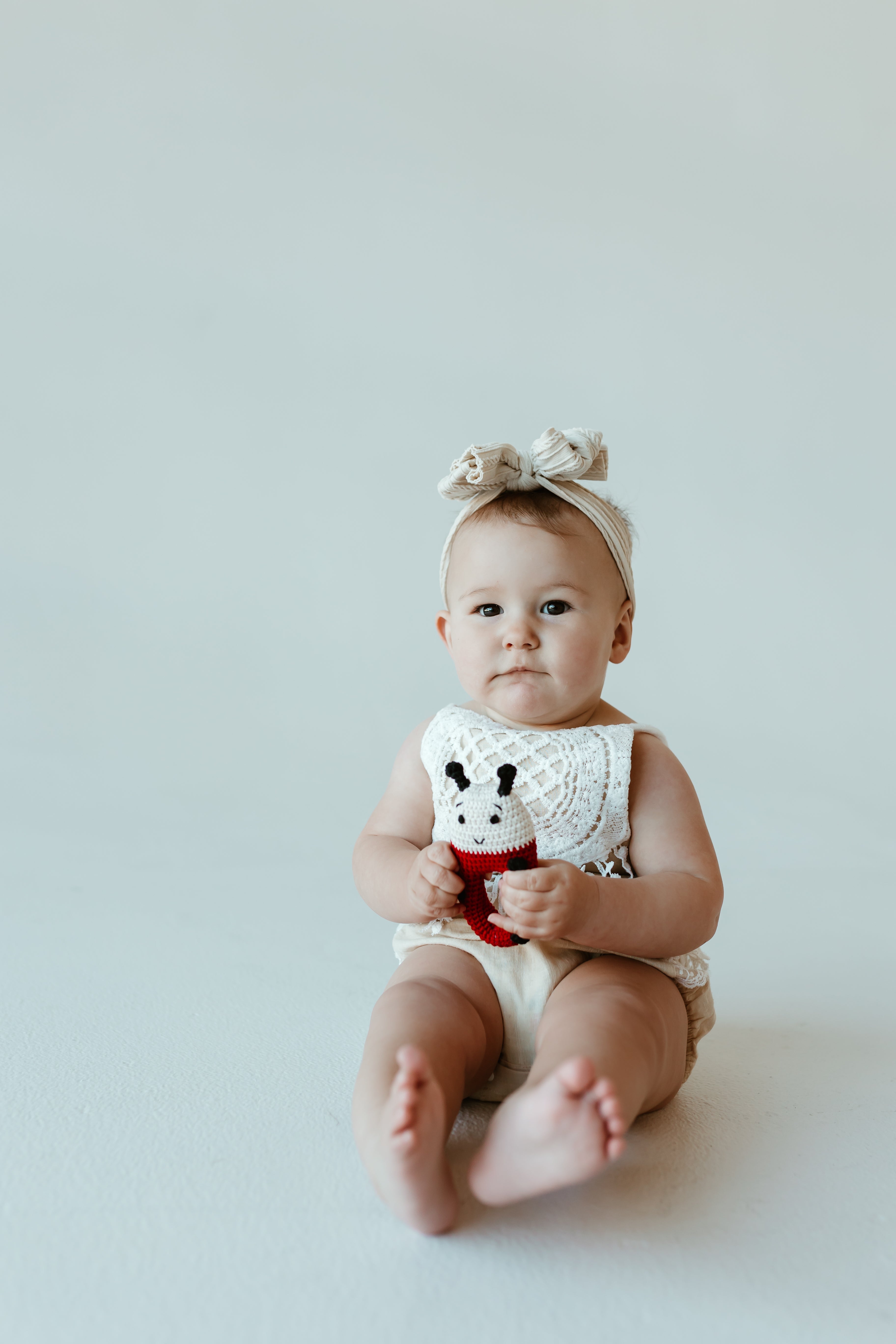 Crochet Ladybug Rattle