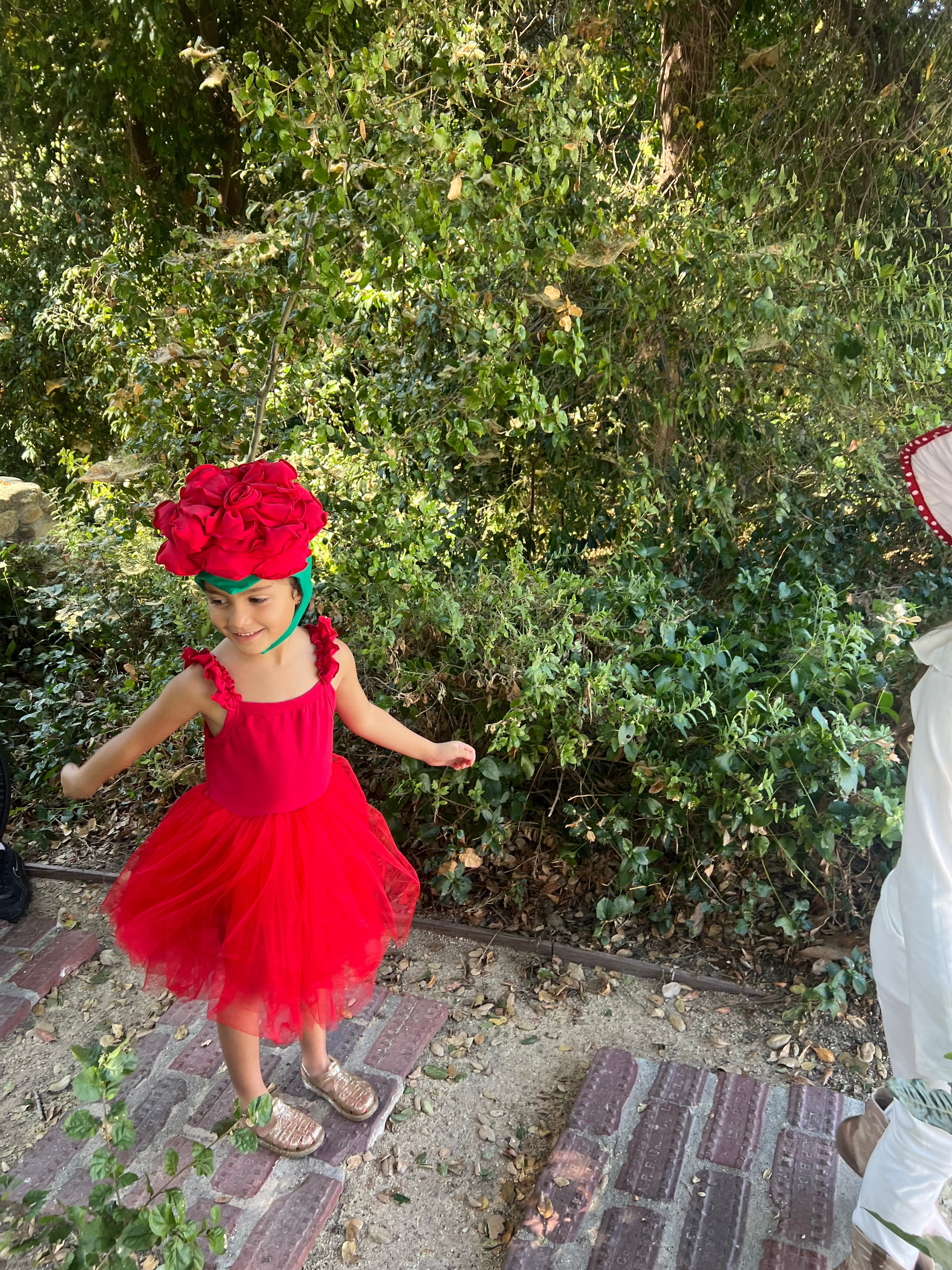 Rose Costume With Tutu