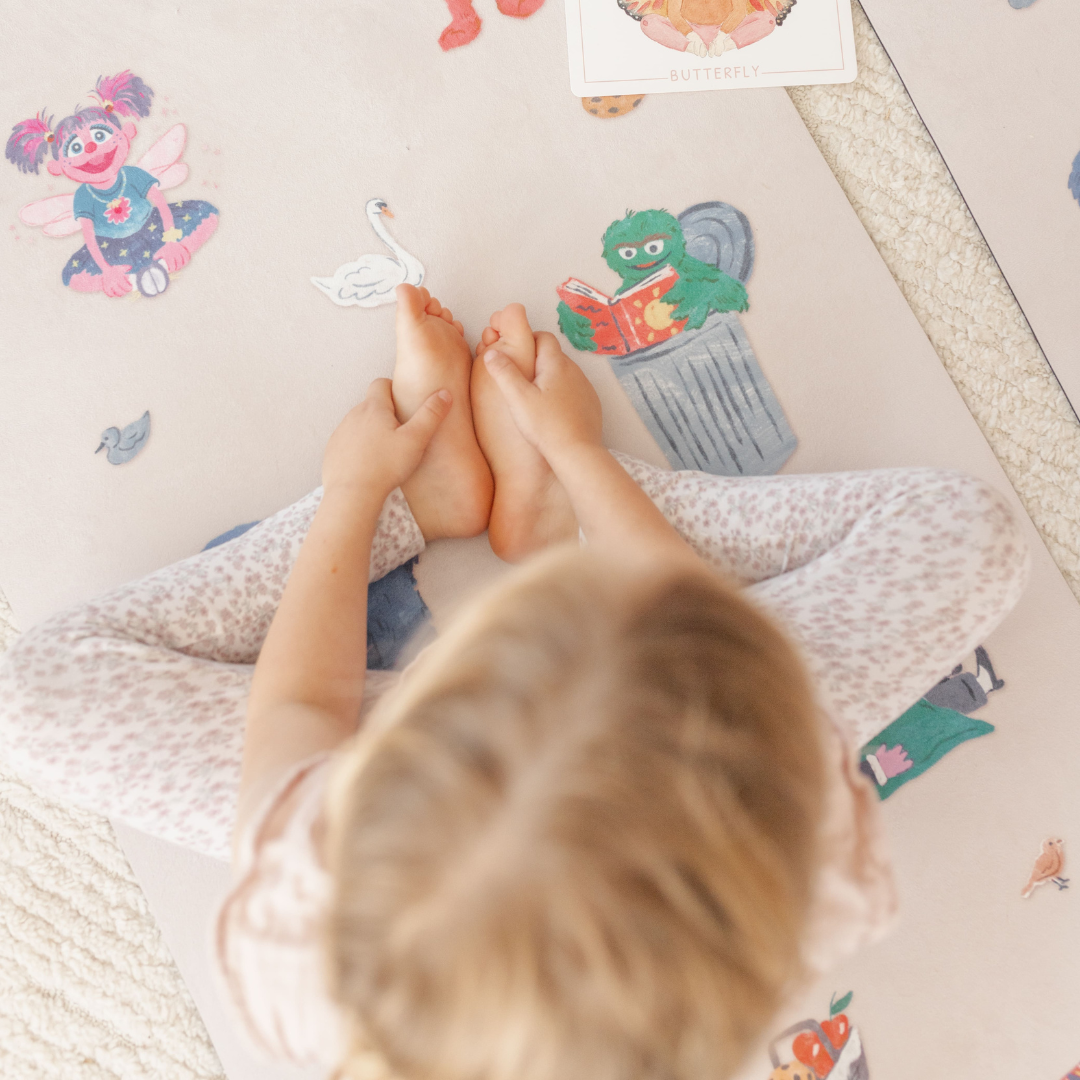 Sesame Street Adventure Bundle