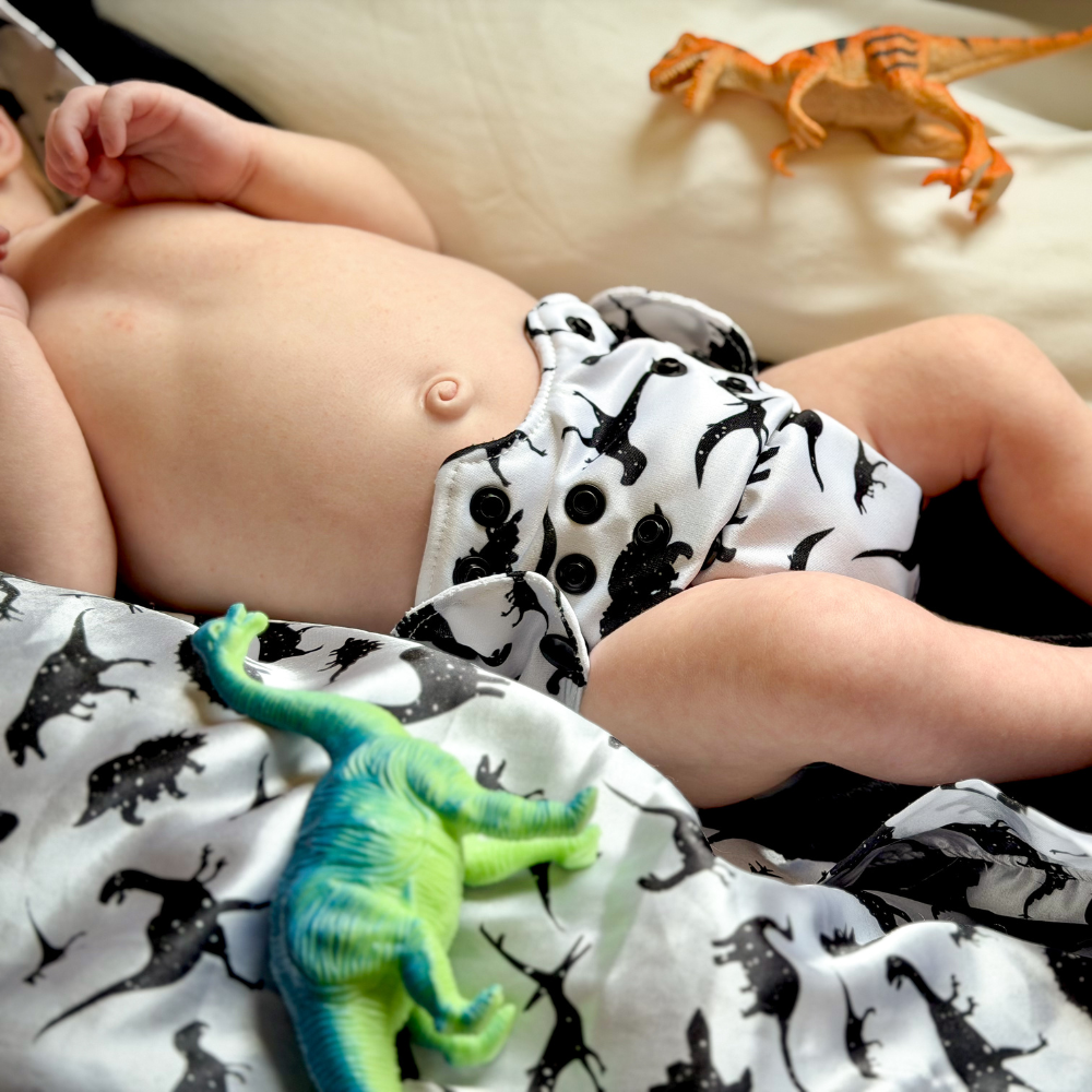Born Smart 2.0 - Rawr!