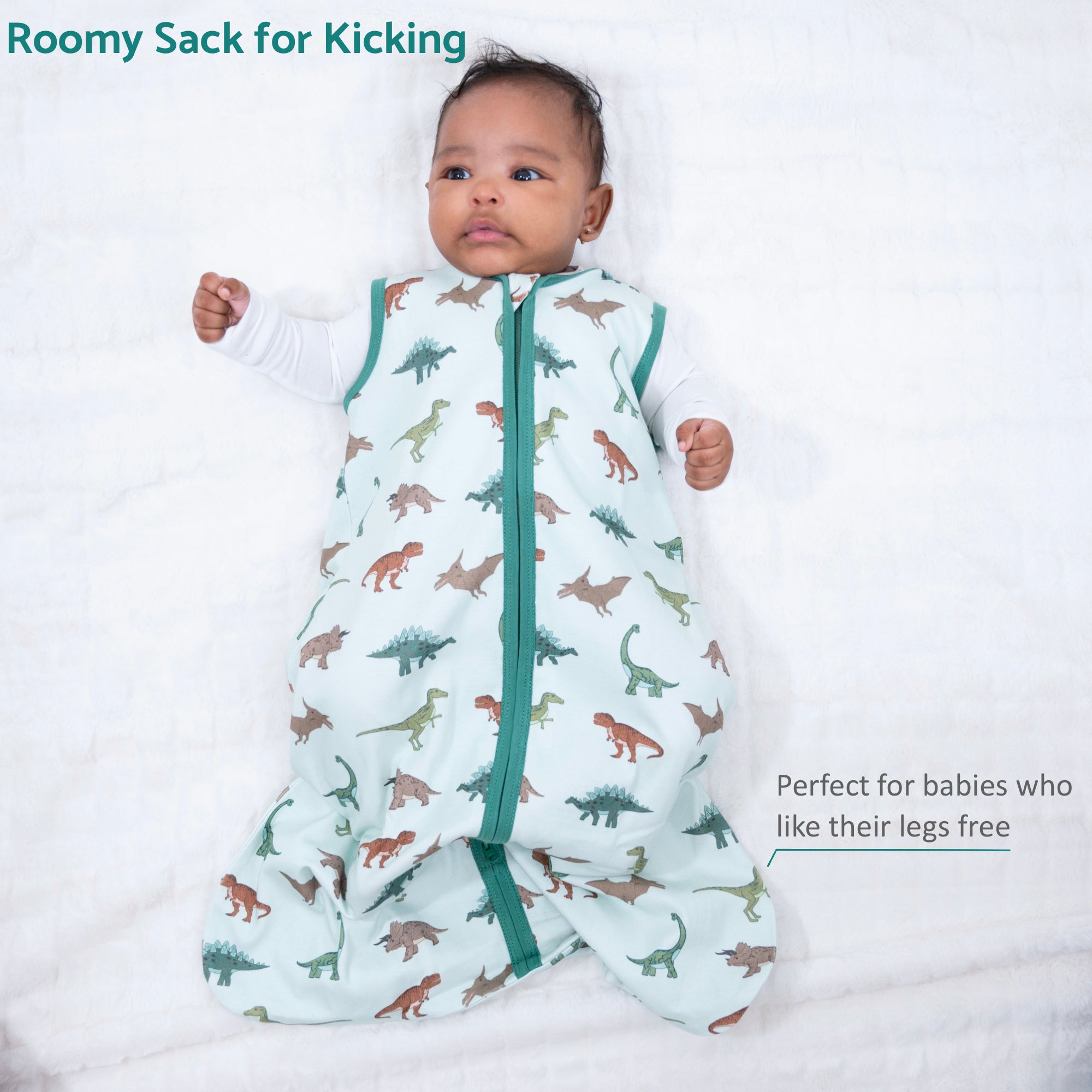 Have A T-rexcellent Day Sleep Sack