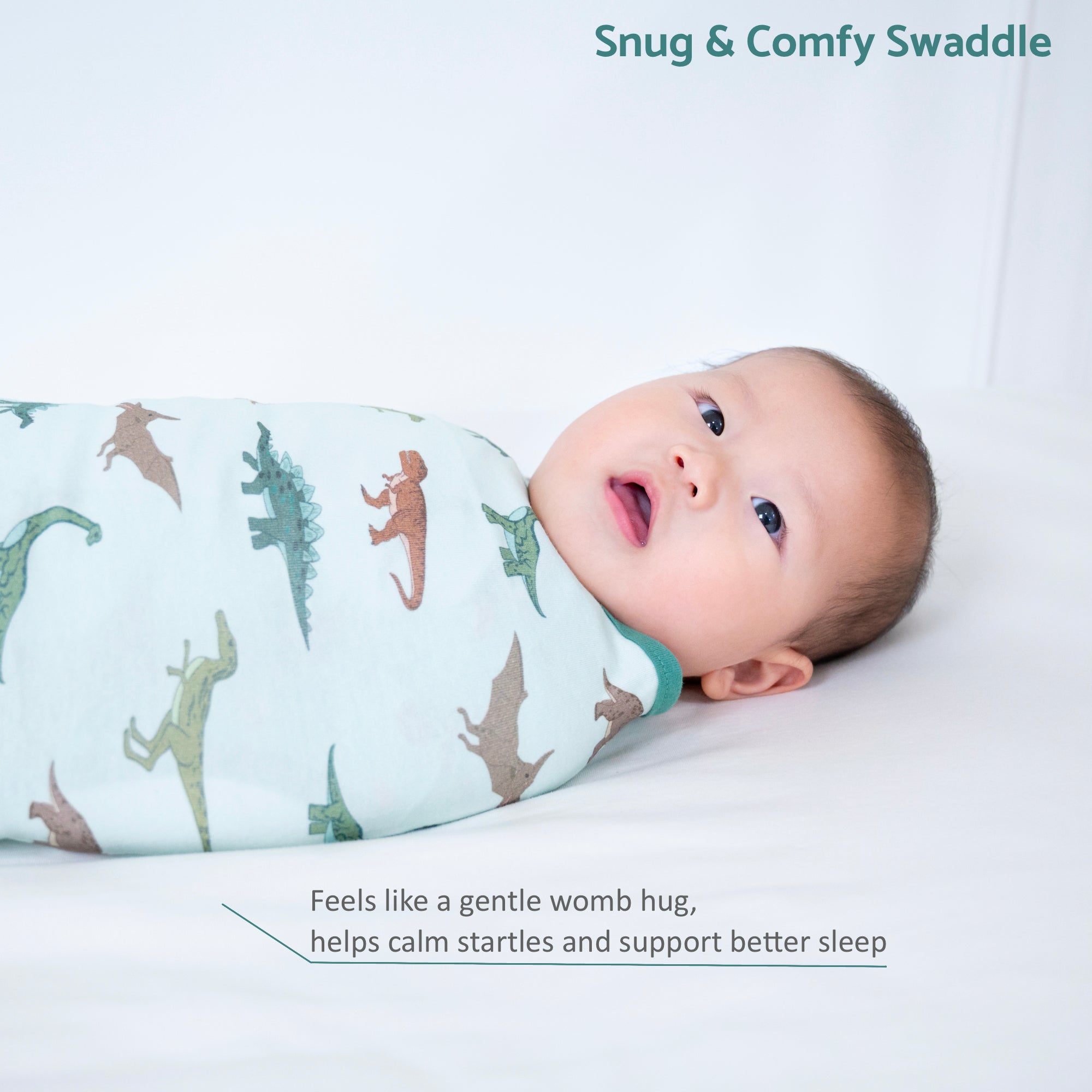 Have A T-rexcellent Day Swaddle Sack