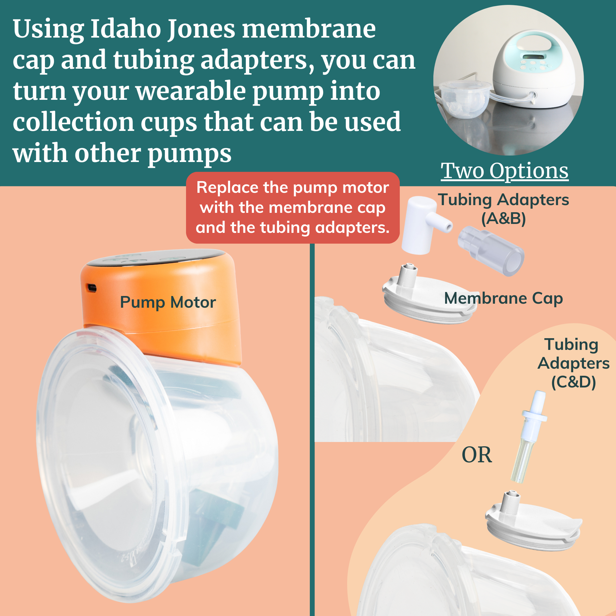 Tubing Adapters For Collection Cups