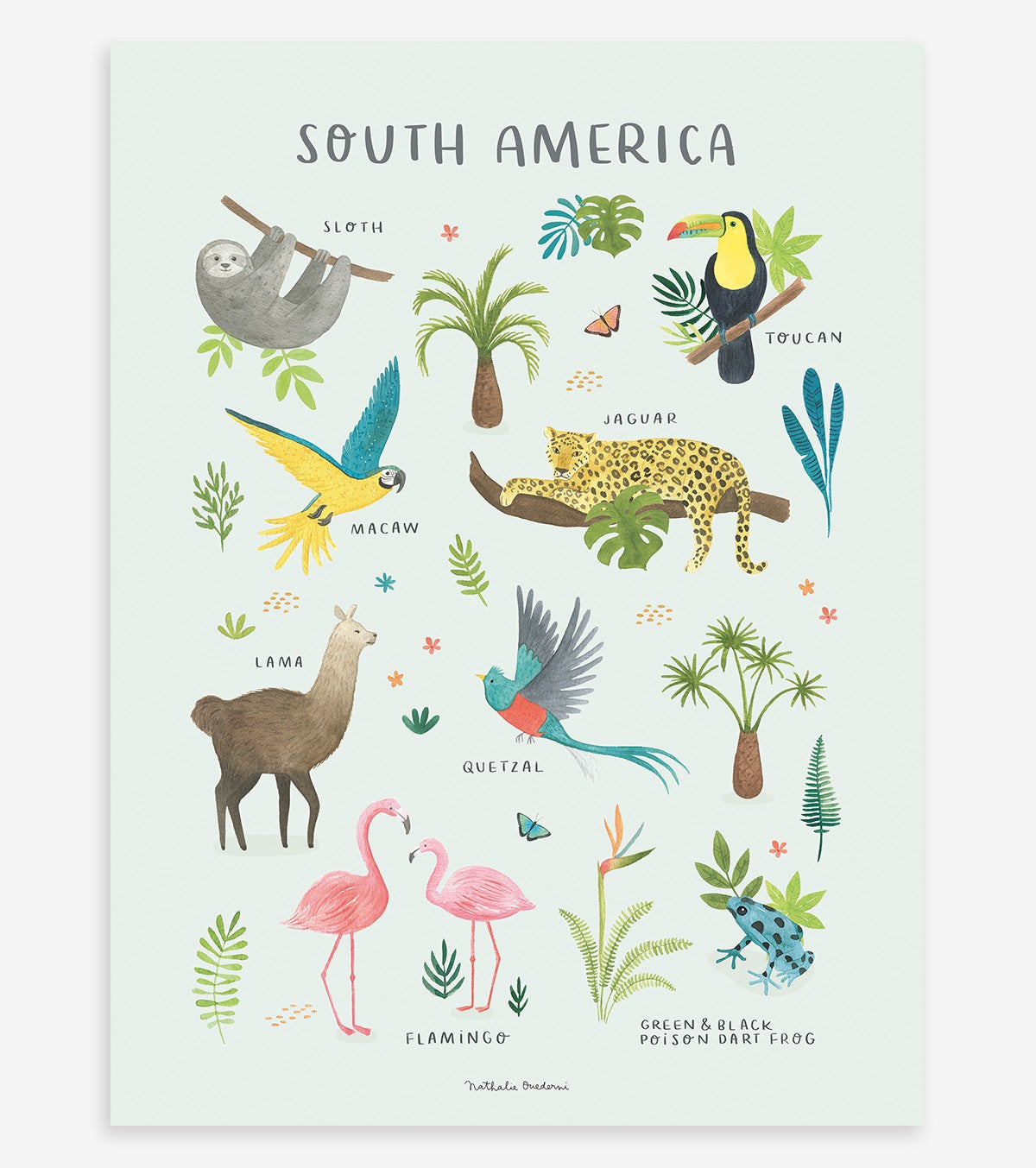 Living Earth - Children's Poster - Animals South America