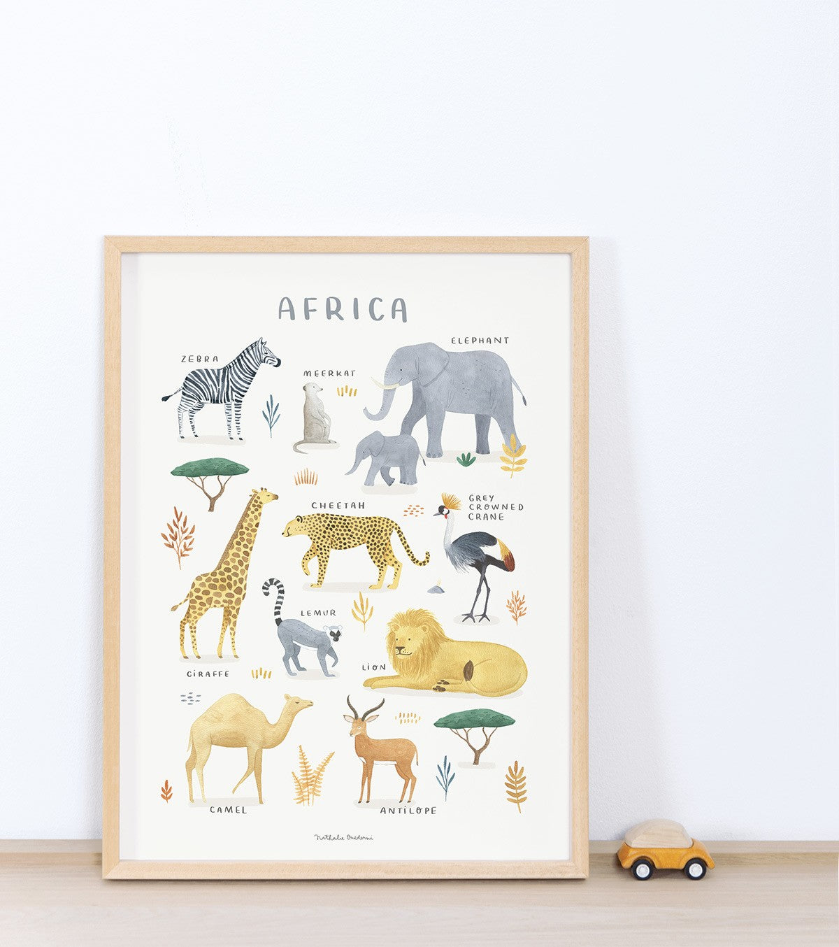 Living Earth - Children's Poster - African Animals