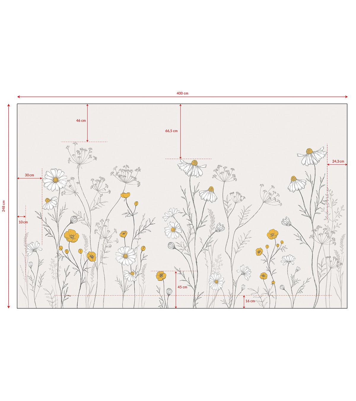 Chamomile - Panoramic Wallpaper - Chamomile Flowers