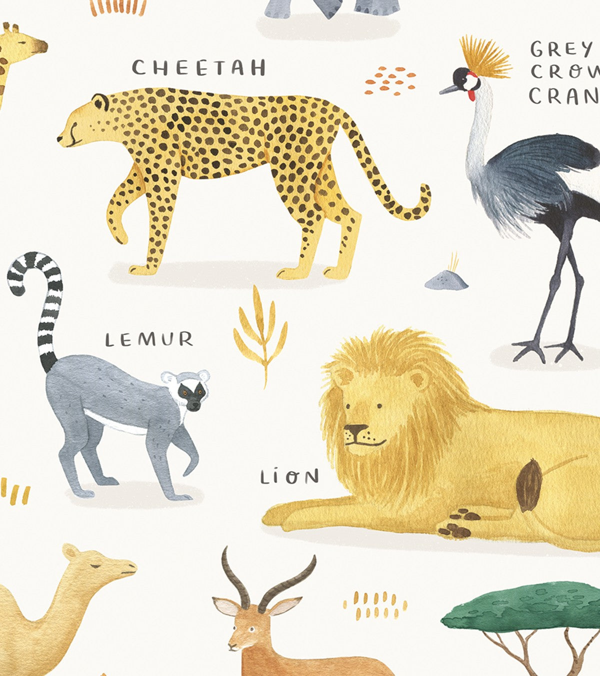 Living Earth - Children's Poster - African Animals