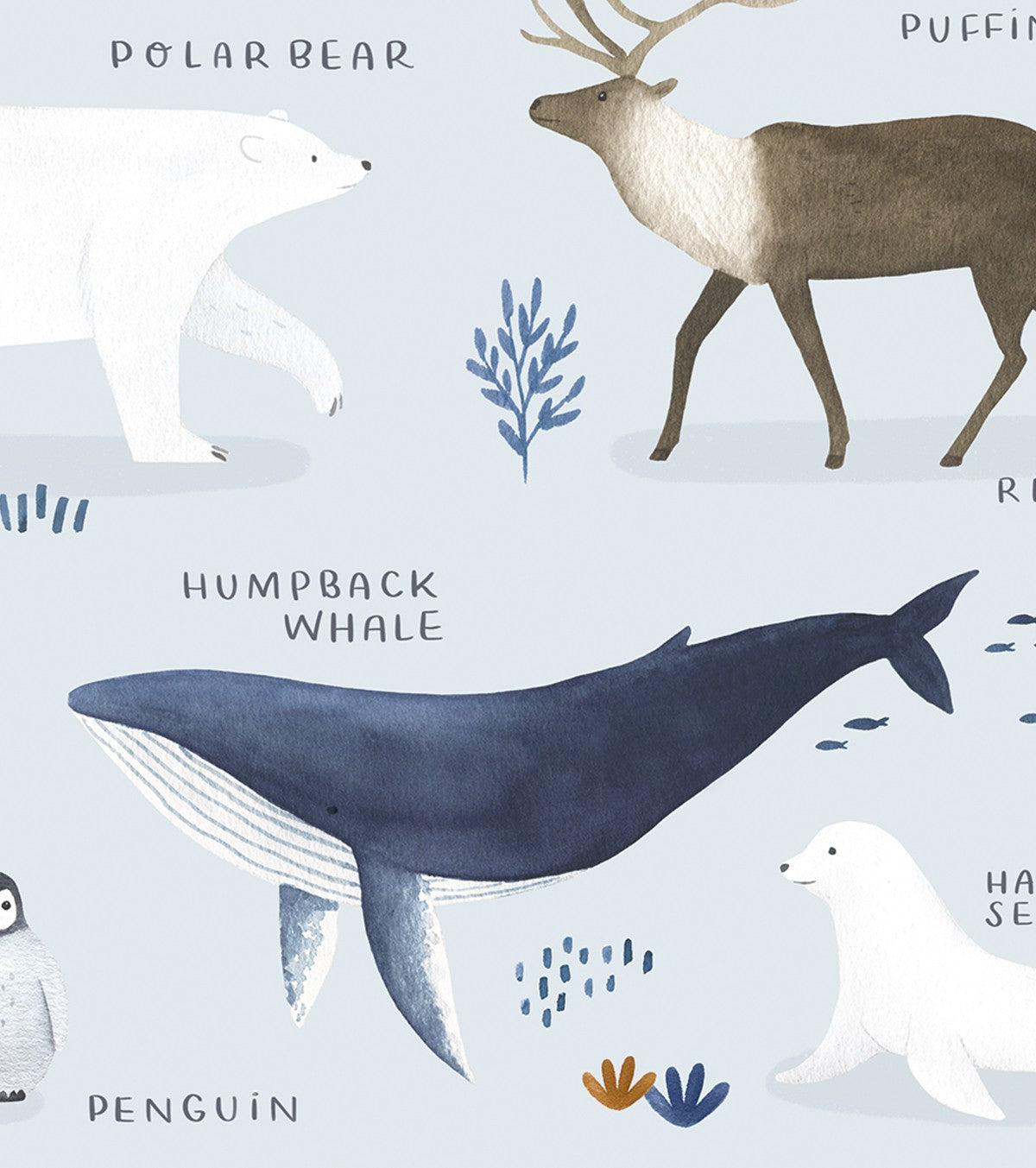 Living Earth - Children's Poster - North And South Pole Animals