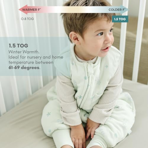 Dreamsuit | Seashell | 1.5 Tog