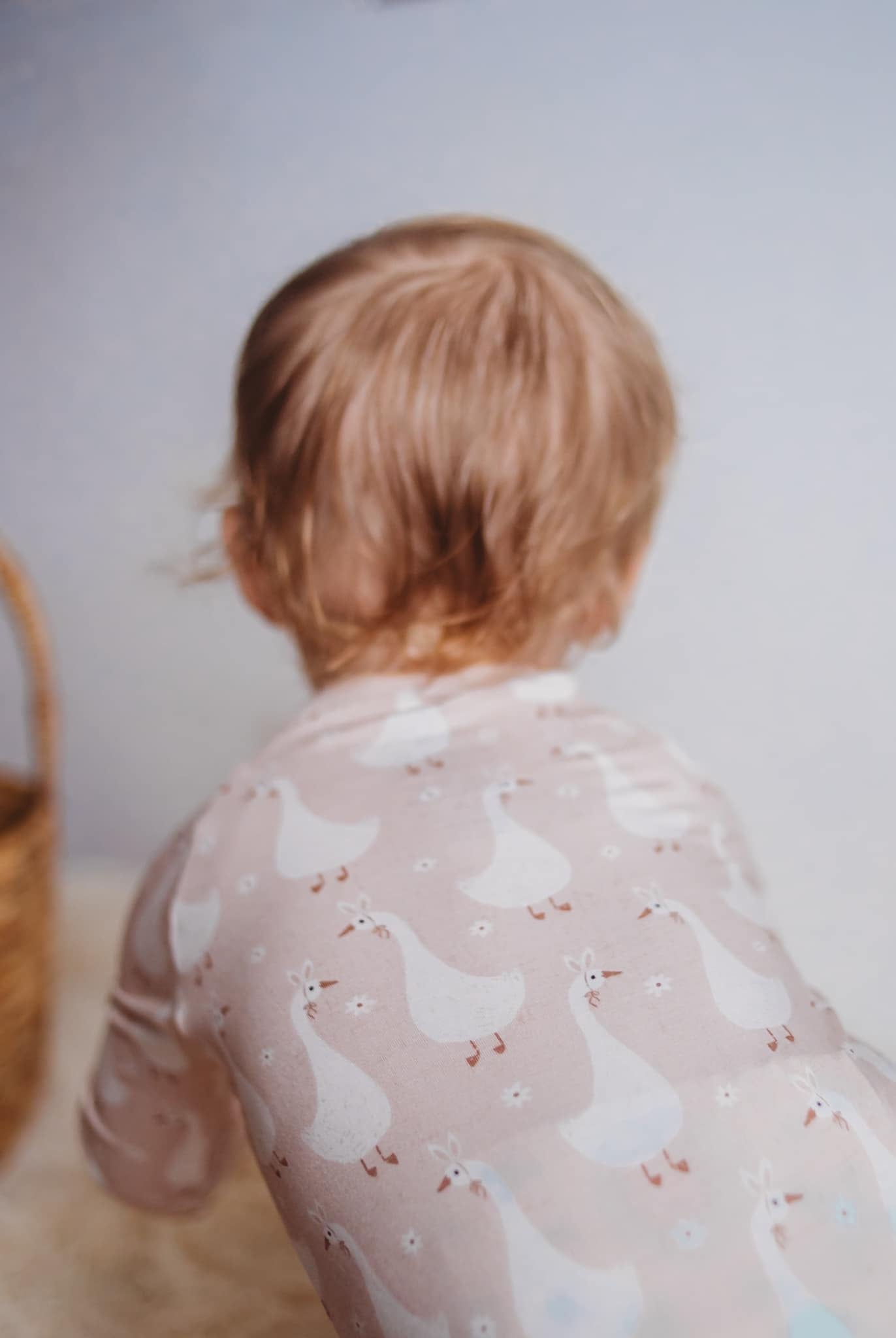 Silly Goose On The Loose Bamboo Zippy Romper