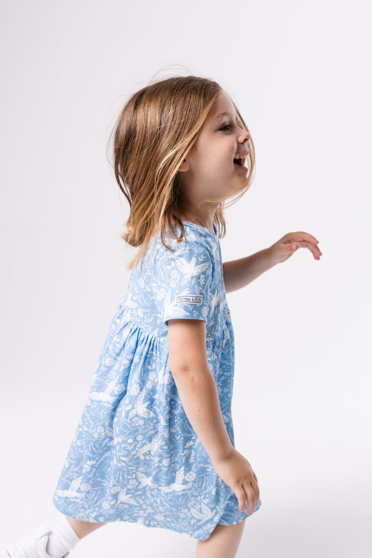 Birds Of The Air Twirl Dress Cotton