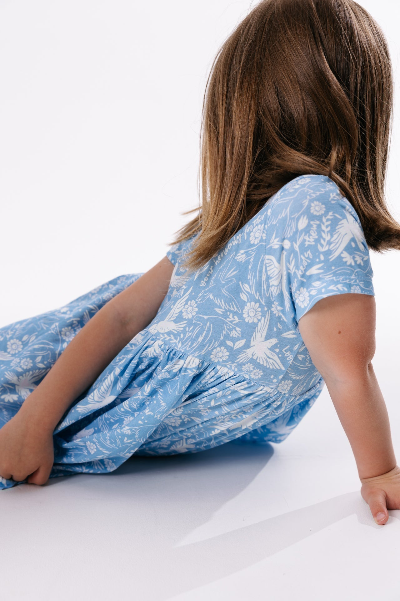 Birds Of The Air Twirl Dress Cotton