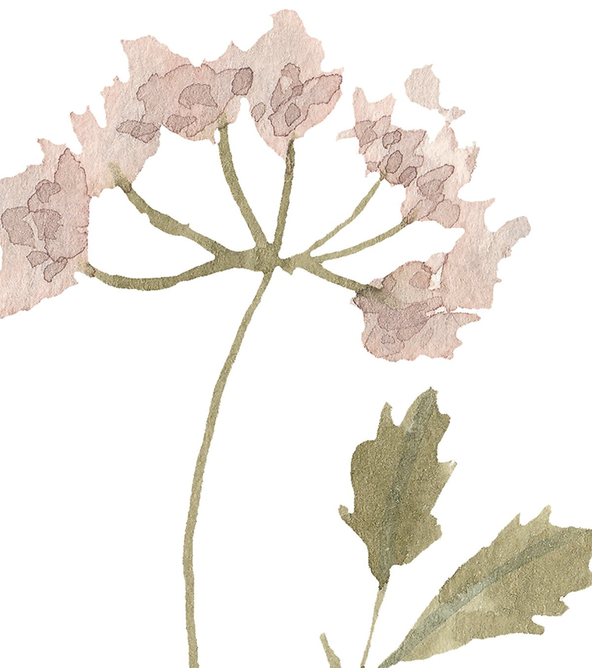 Mademoiselle - Set Of 4 Art Prints - Botanical Flowers