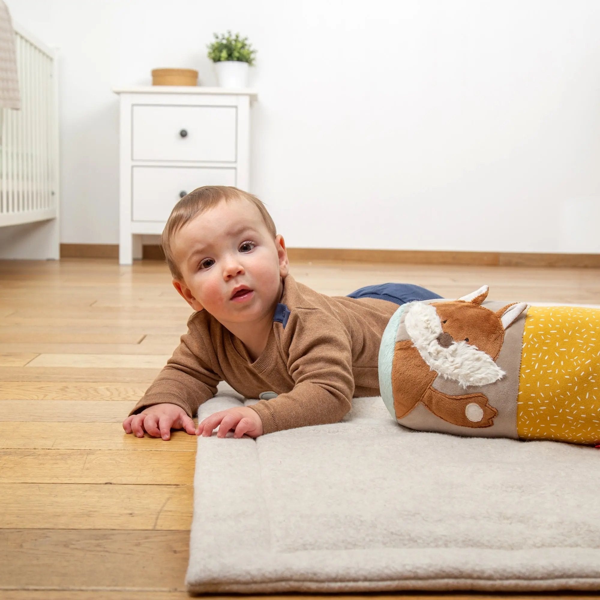 Fox Activity Roll With Rattle