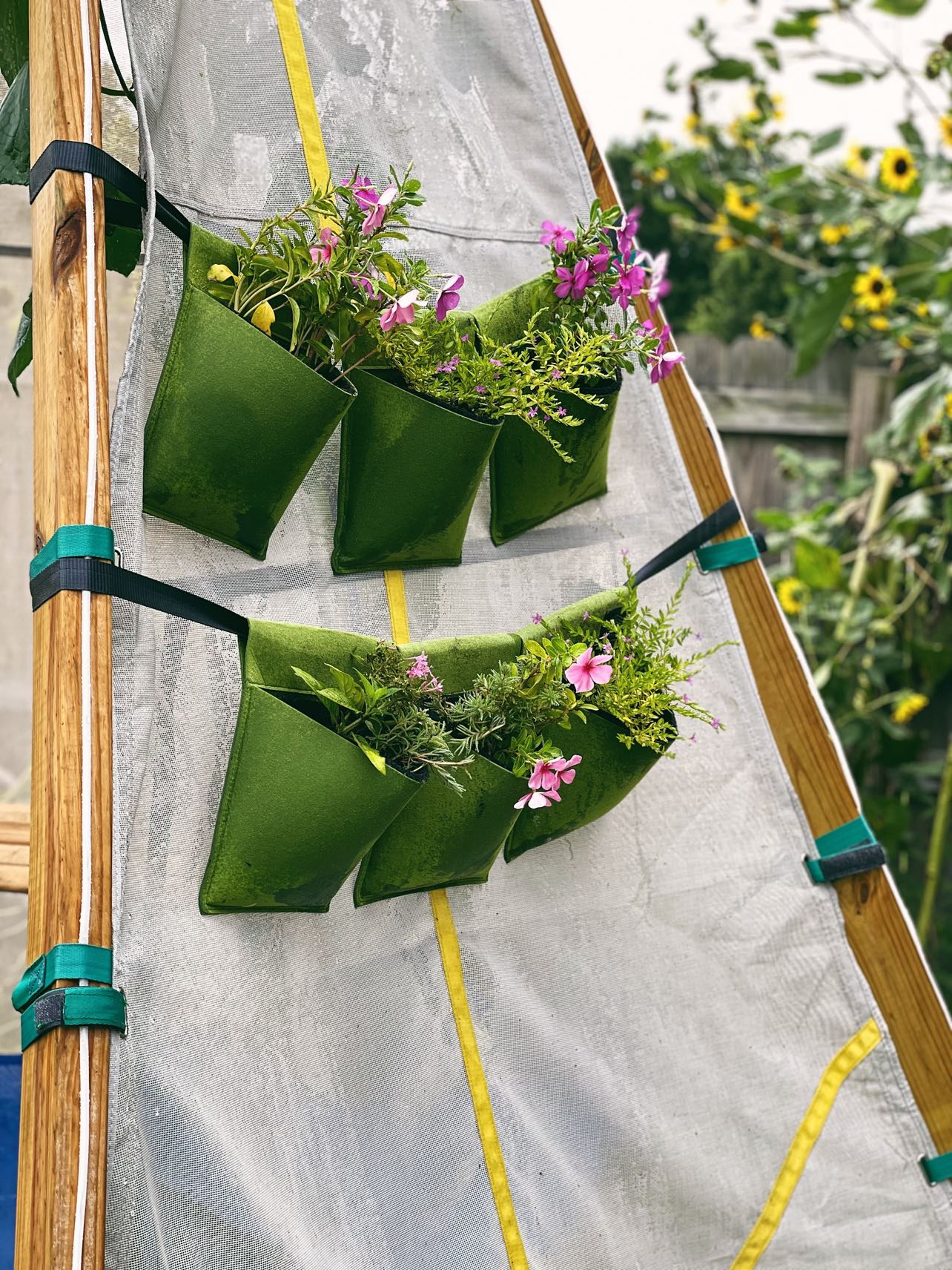 Bijou Bloom Hanging Planters