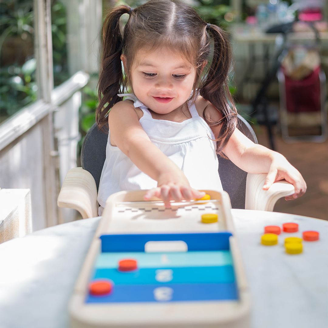 2-in-1 Shuffleboard Game