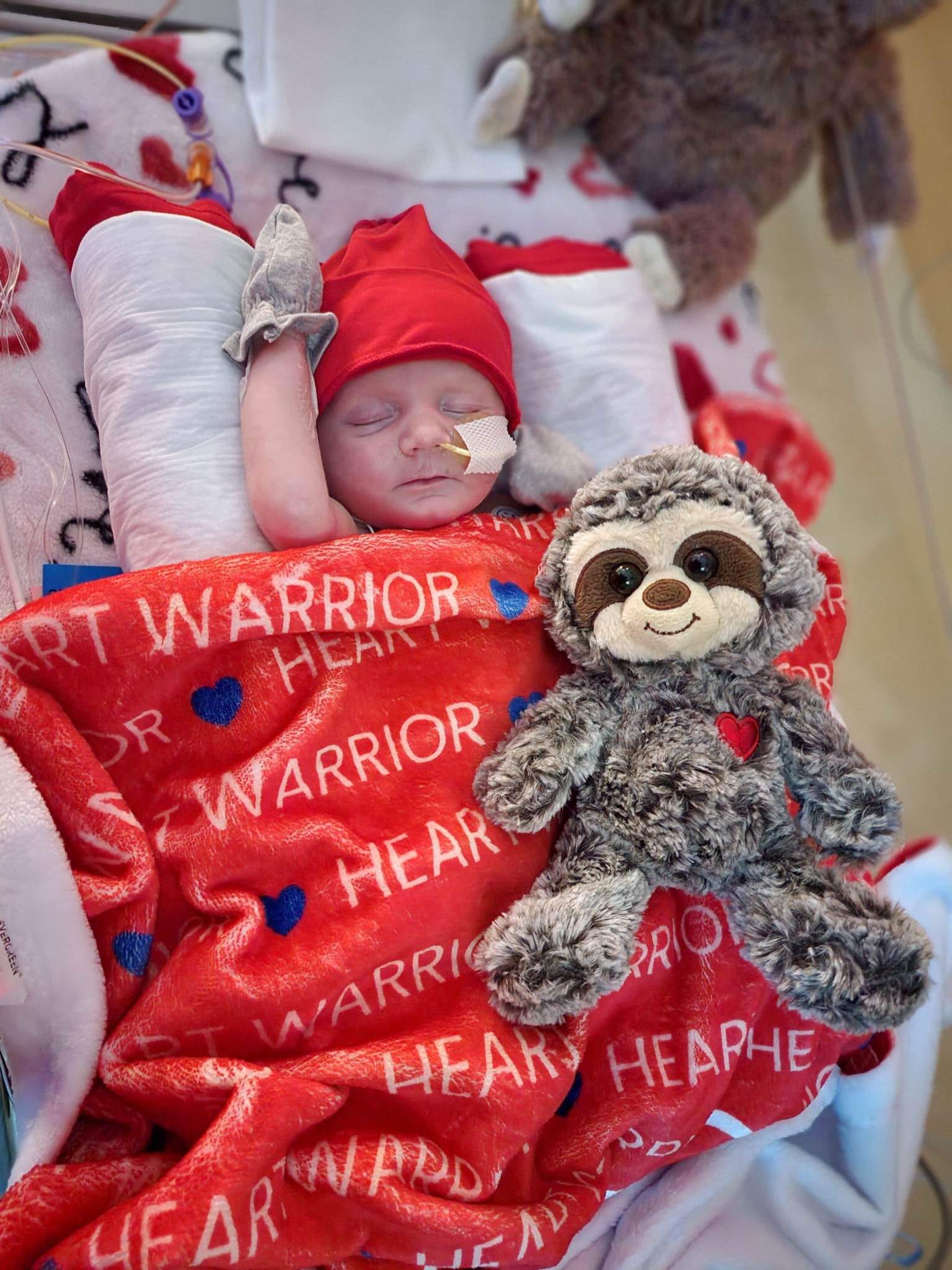 Heart Warrior Personalized Minky Blanket