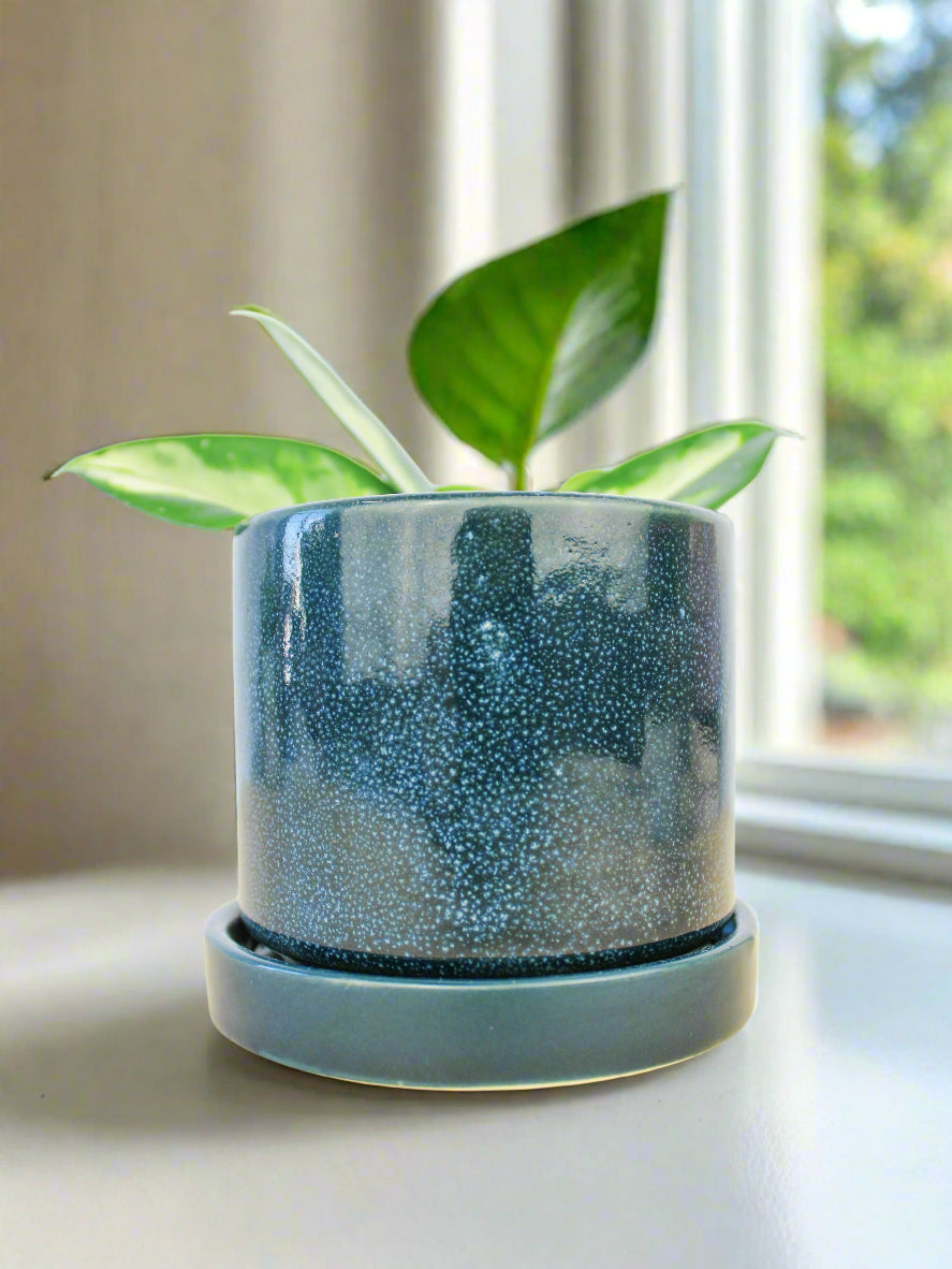 Cosmos Blue 3" Ceramic Plant Pot And Saucer