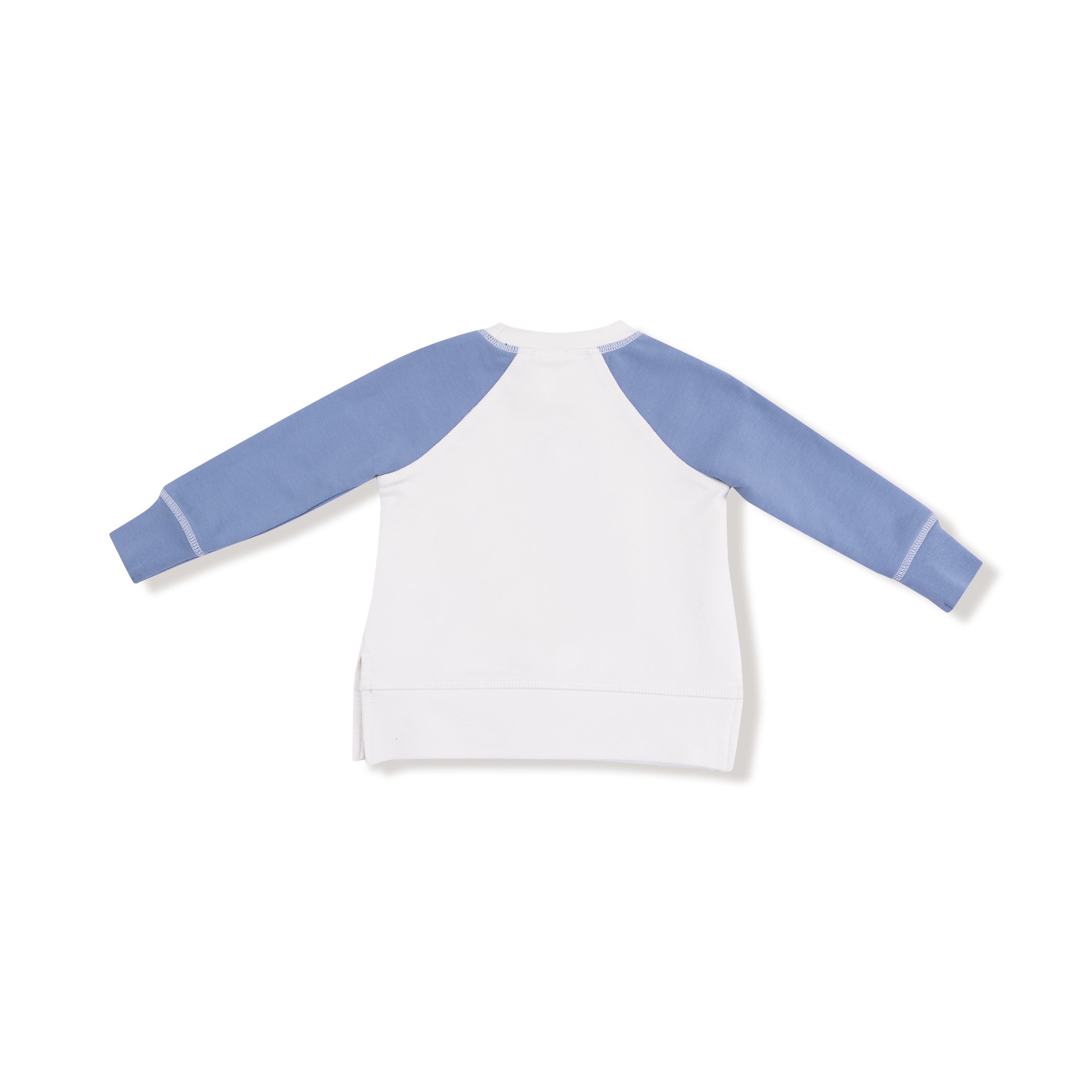 Raglan Sweatshirt And Jogger French Terry Set