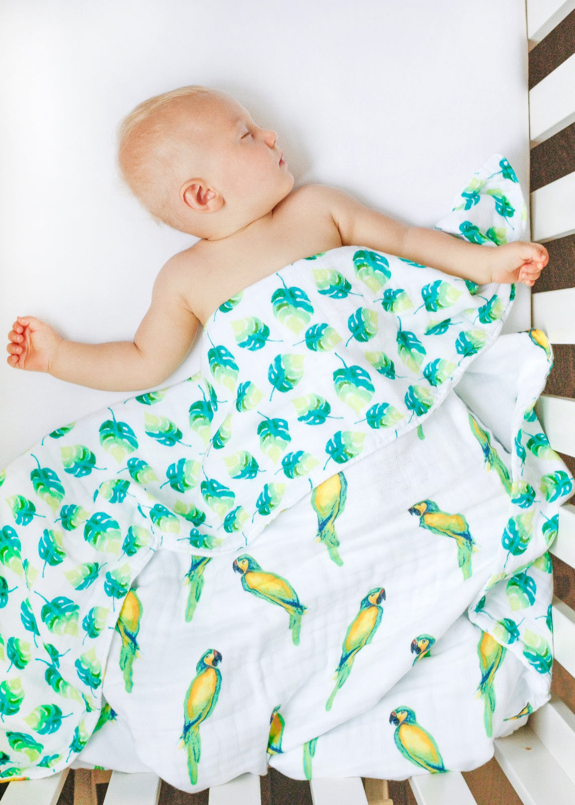 ORGANIC SNUG BLANKET - PARROTS