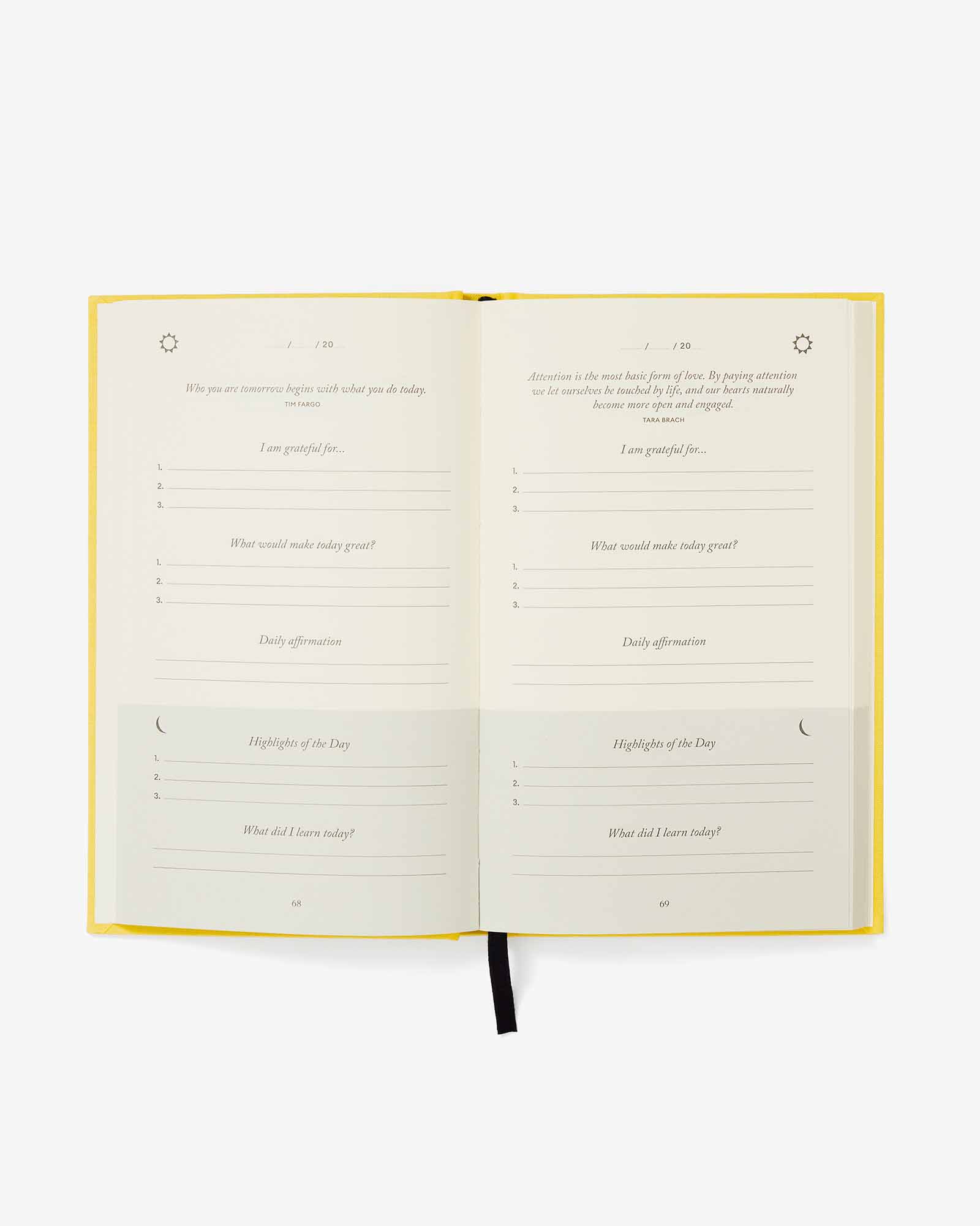 The Intelligent Change Duo - Beige Sunshine Yellow by Intelligent Change