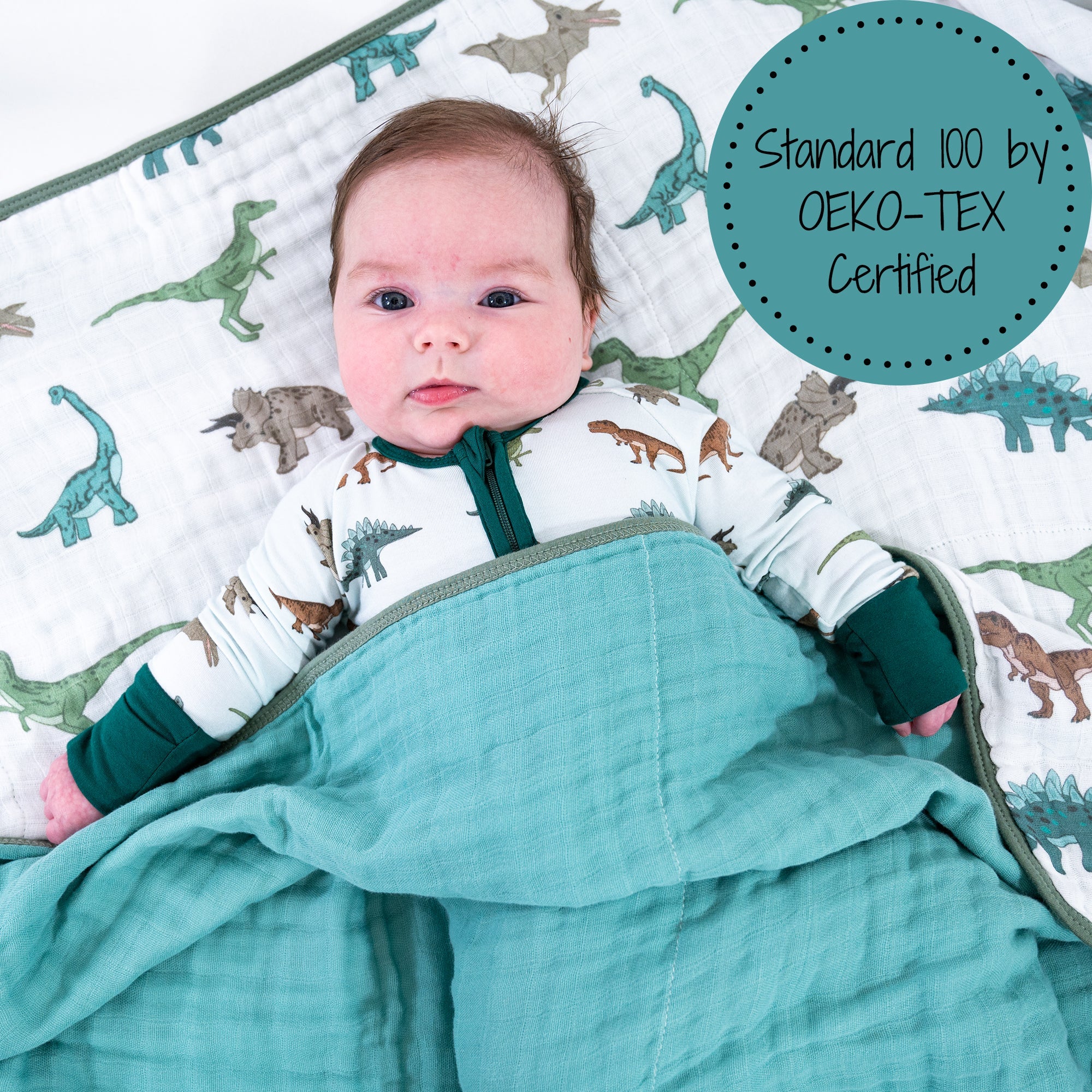 Have A T-rexcellent Day Quilt