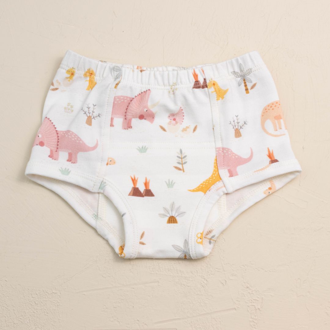 Eco Organic Potty Training Bundle (pack Of 4)
