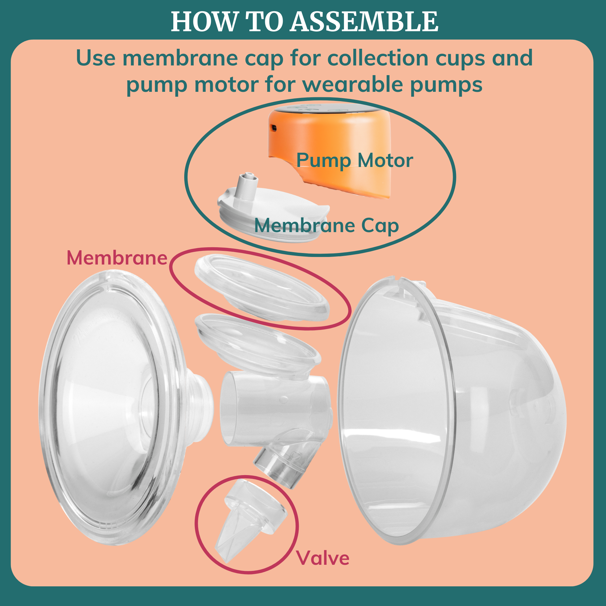 Duckbill Valves & Membranes For Wearable Breast Pumps