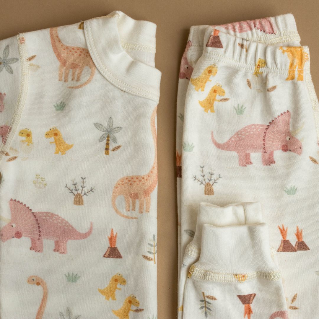 Rose Dino Family Organic Cotton Pajamas Made In Usa