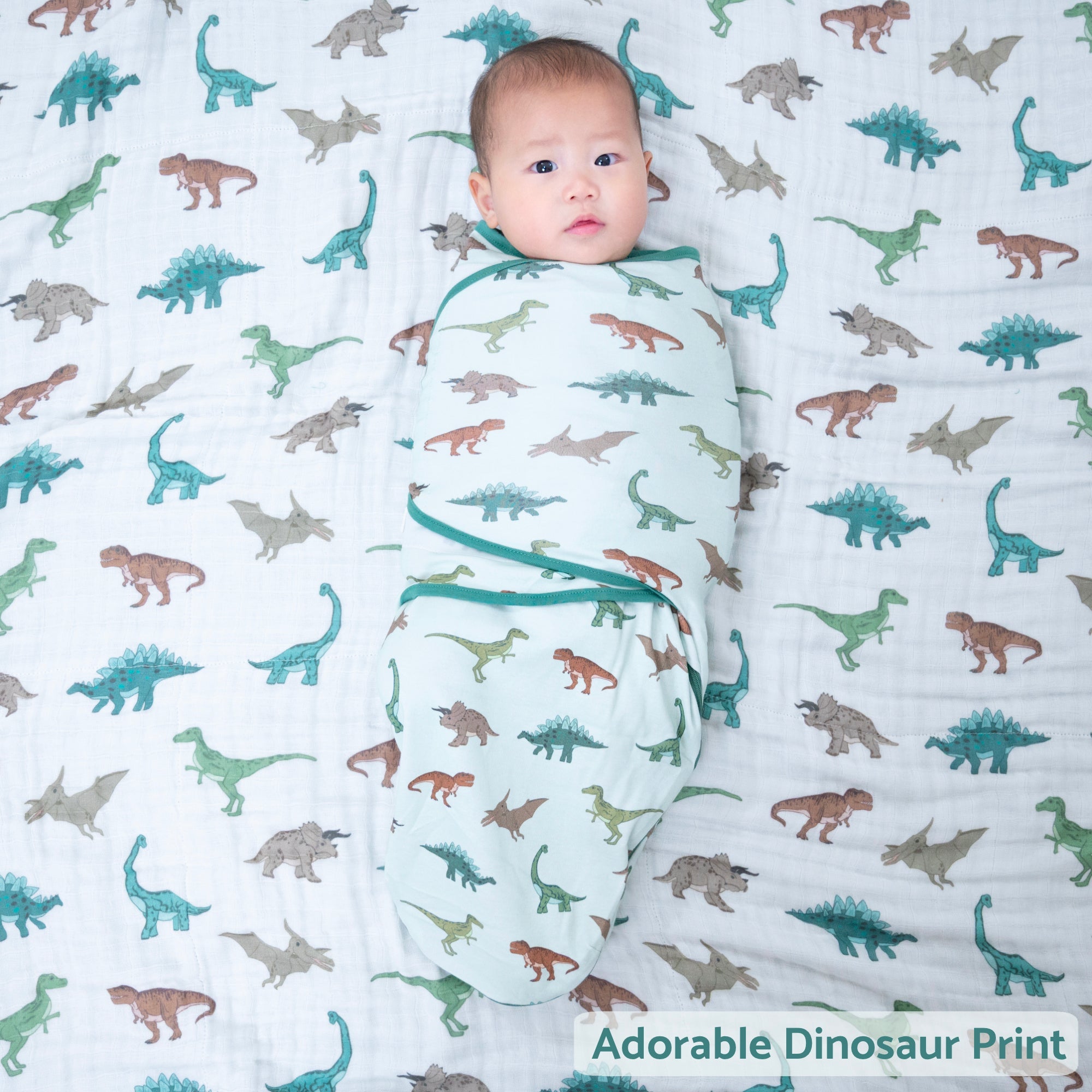 Have A T-rexcellent Day Swaddle Sack