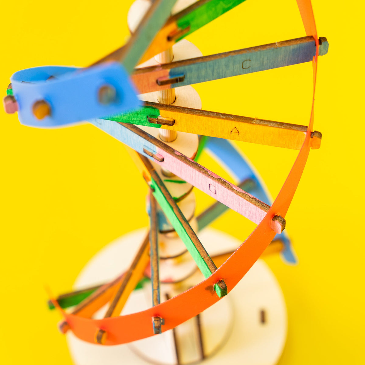 Diy Dna Double Helix Model Kit – Build & Paint Biology Stem Project