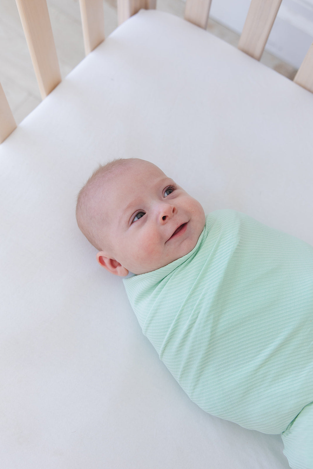 (solid, Ribbed) Lion Around - Lightweight Blanket