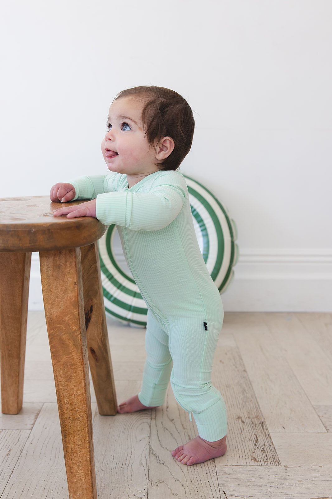 (solid, Ribbed) Lion Around - Zippy