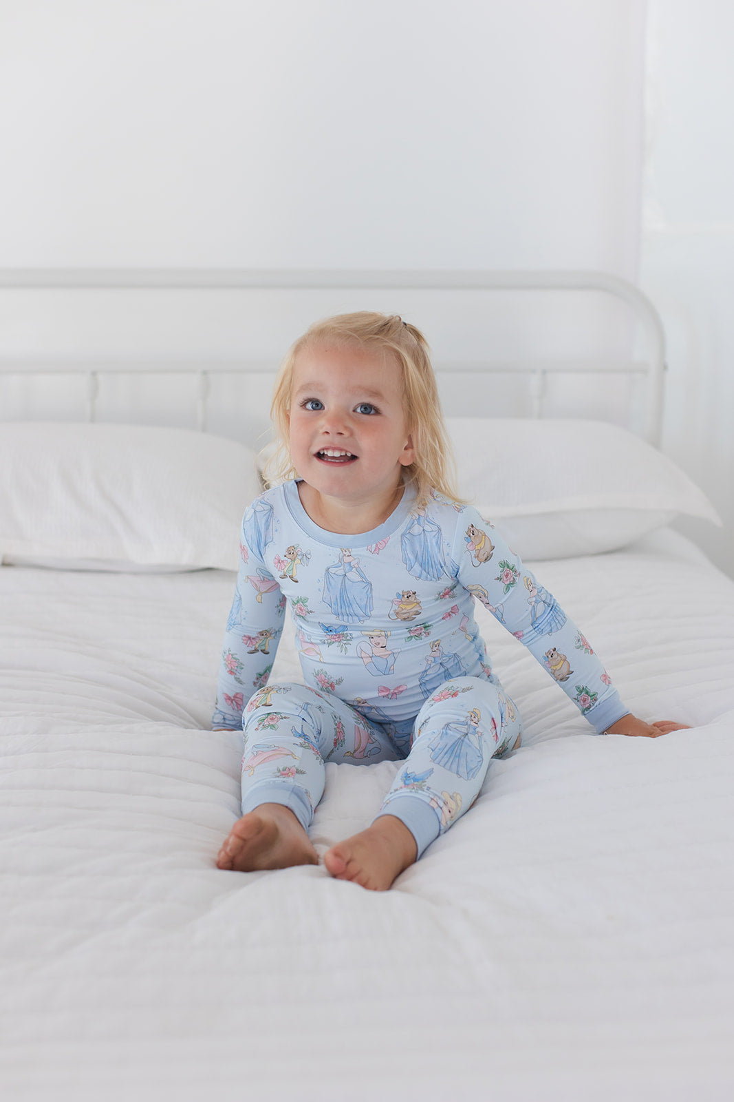 The Lost Slipper - Set