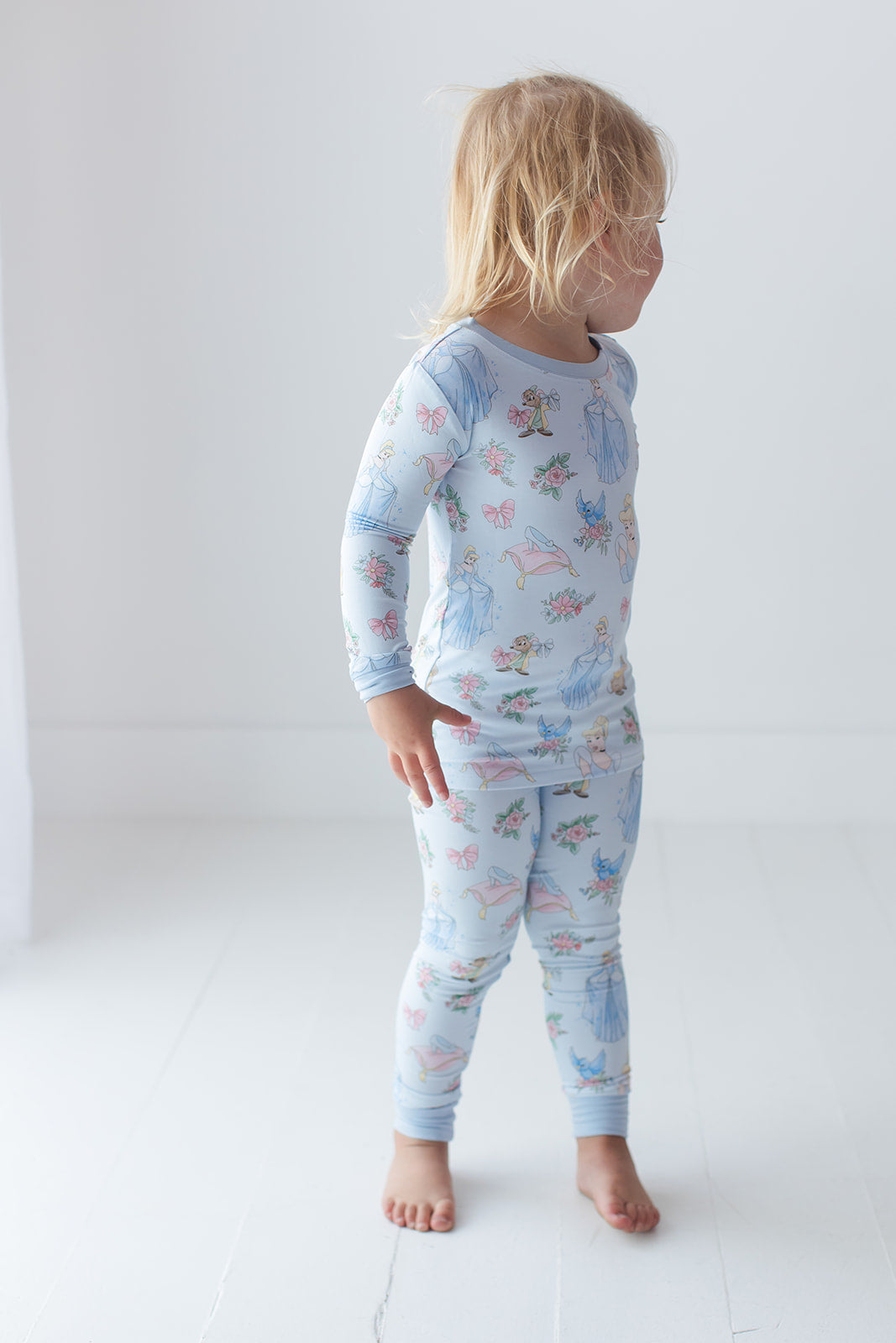 The Lost Slipper - Set