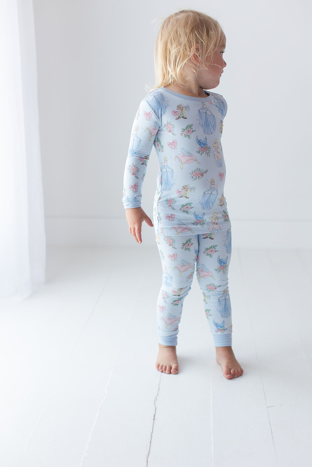 The Lost Slipper - Set