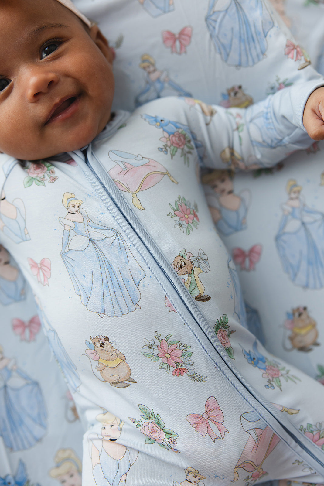 The Lost Slipper - Zippy